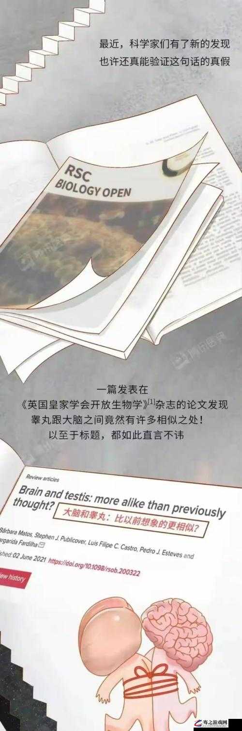 探讨：关于如何吃到自己睾丸呢这一奇特想法的相关思考