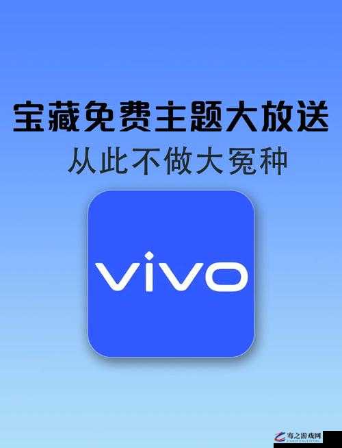 软件网站下载 3.0.3 免费 vivo 版破解装扮版大全：海量破解装扮版免费下载