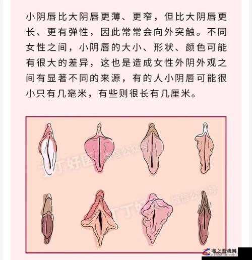 女教师大荫蒂毛茸茸：探索教育与性的微妙边界