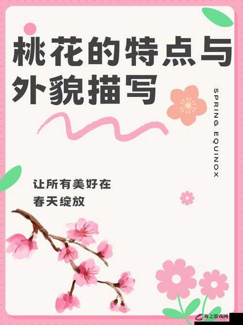 桃花色网：探寻那一抹独特的色彩与魅力