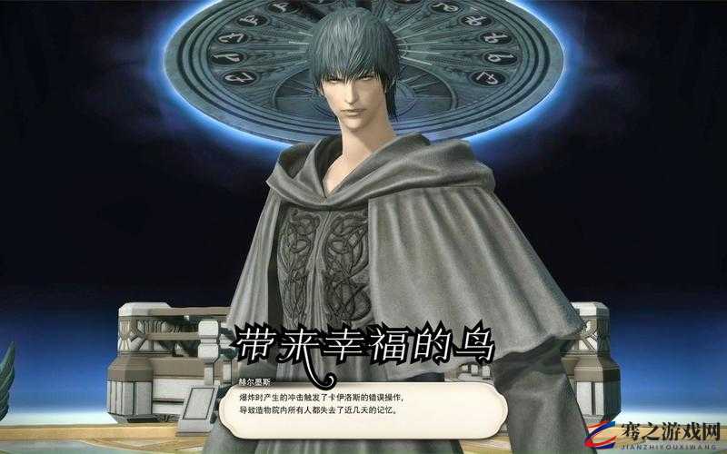 FF14结婚系统中双人鸟归属大揭秘，浪漫与荣耀的完美见证