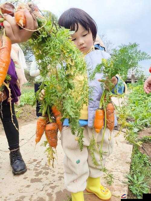 可爱小孩与妈妈快乐摘萝卜的温馨时光