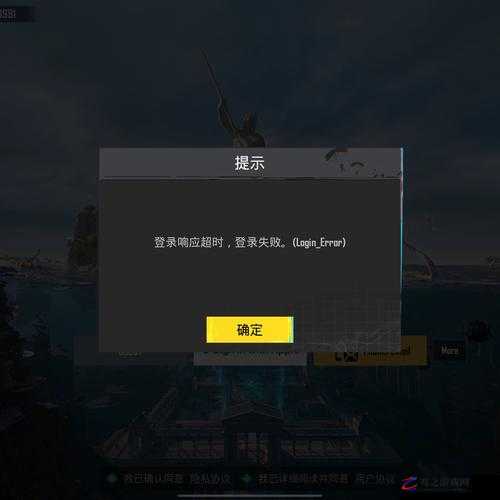 绝地求生刺激战场国际服登录问题解析，常见原因及解决方法探讨