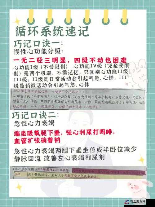 解锁智慧之门，揭秘打工是不可能的第21关高效通关策略秘籍