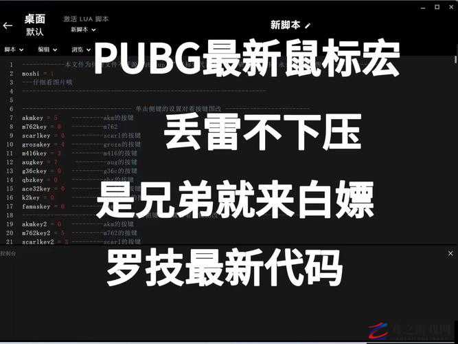 探讨吃鸡游戏鼠标宏，是助力轻松制胜的利器还是引发封号危机的风险？