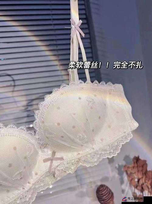 解开乳罩喂领导吃奶：职场中的隐秘行为探讨