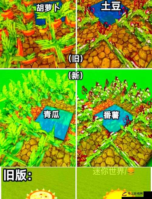 探索迷你世界，揭秘小狗崽的饮食习性及适宜喂养食物