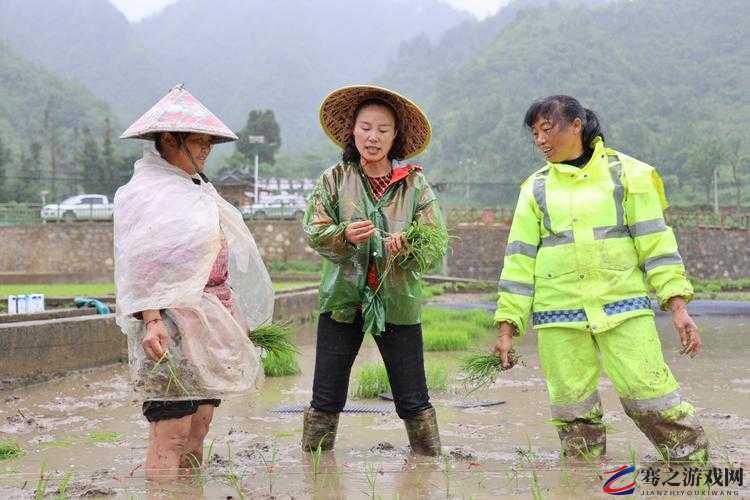 情侣携手共赴田间插秧的浪漫时光