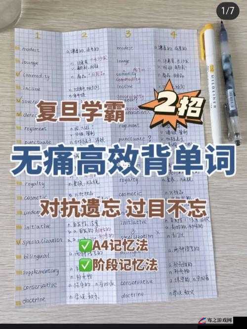 坐在学霸的鸡上背单词双楠作文：探索独特学习方式的奇妙之旅