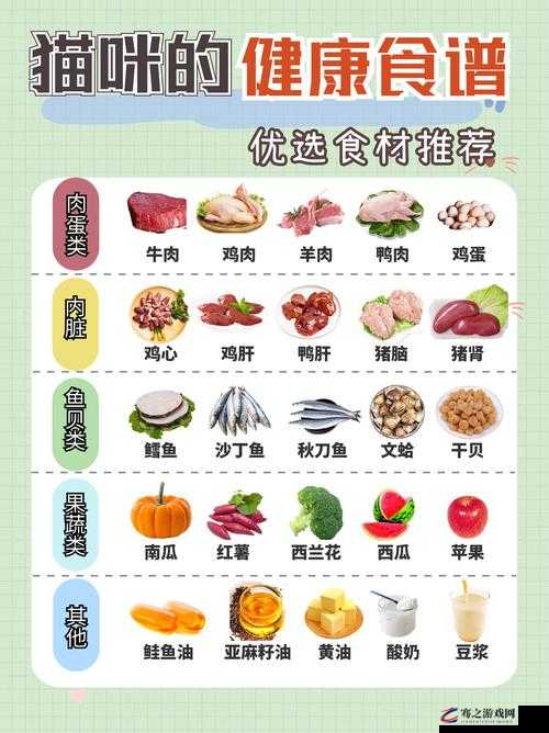 肉食家庭食取报告 1 免费：深入解读肉食家庭饮食情况