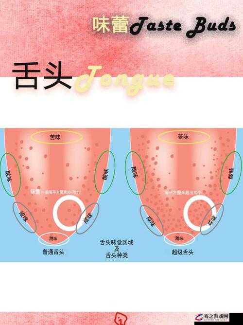 舌头缓缓一点一点向里探寻的奇妙之旅