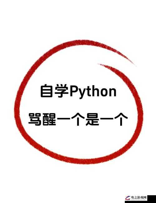 Python 人马大战 CSDN-一场精彩绝伦的技术对决盛宴