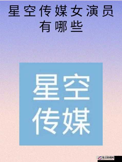 麻花星空影视传媒制作公司：打造精彩影视新视界