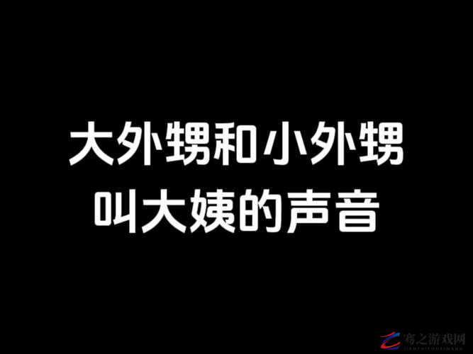 沈阳大姨声音为何那般好听之缘由探究