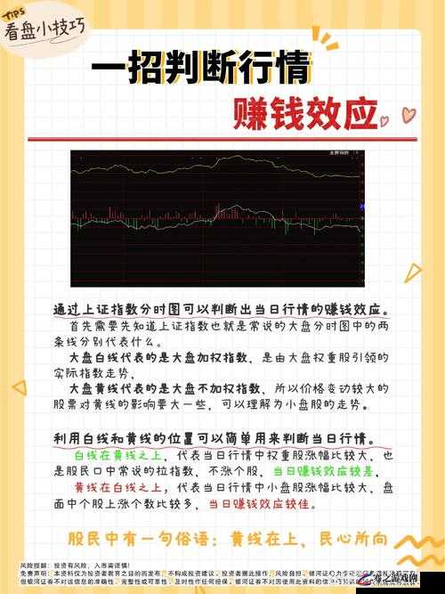 如何选择适合的免费行情网站？：解析选择技巧与注意事项