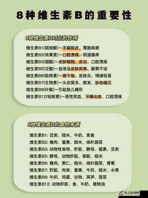 B 和 B 为什么不一样：深入探究其差异的根源所在