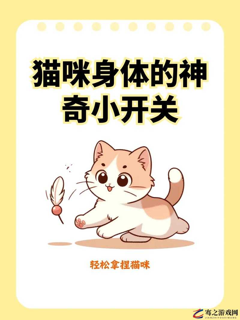 捡到同桌小玩具的开关：这是一件神奇又有趣的事情