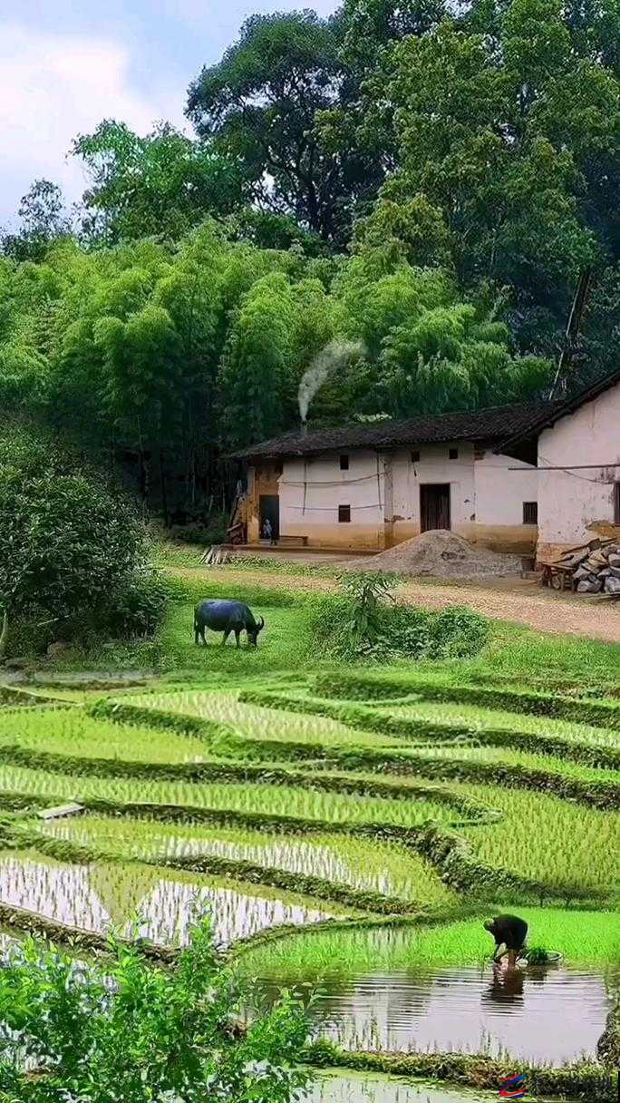 农村屌耕屄：一种别样的乡村生活景象探讨