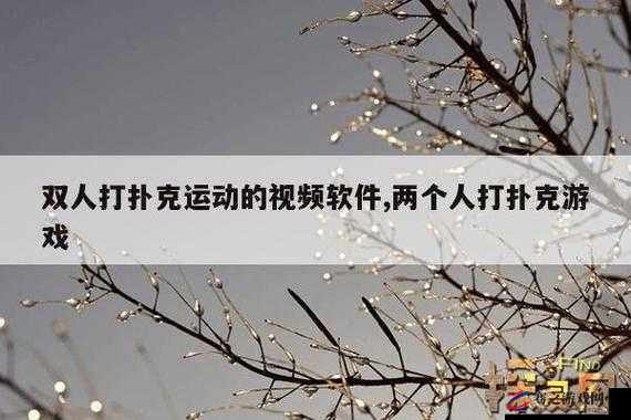 免费做运动扑克视频网站大全：你不可错过的精彩资源汇总