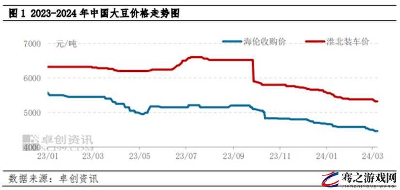 51 大豆行情网免费软件：实时掌握大豆行情走势