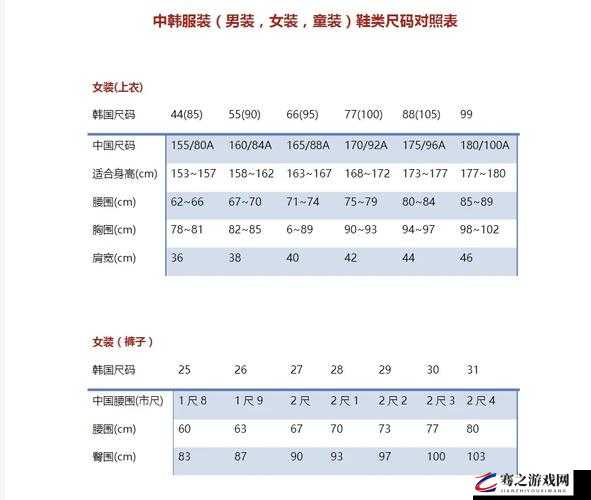 日韩码一码二码三码区别之详细解析与具体应用探讨