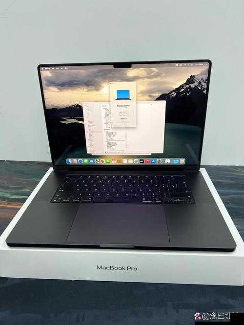 19 岁拥有的那台独特的 MACBOOK PRO 欧美版