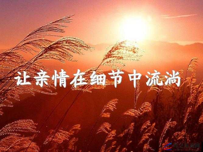 姑父有力挺送：亲情支持背后的温暖与力量